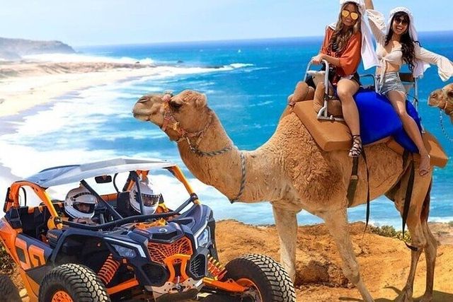 Incredible Excursions, Tours & Boat Rentals in Cabo image 4