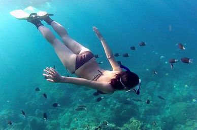 Incredible Excursions, Tours & Boat Rentals in Cabo image 186