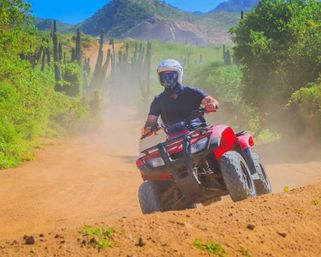 Incredible Excursions, Tours & Boat Rentals in Cabo image 93