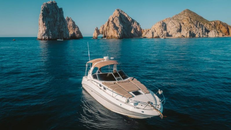 Incredible Excursions, Tours & Boat Rentals in Cabo image 87