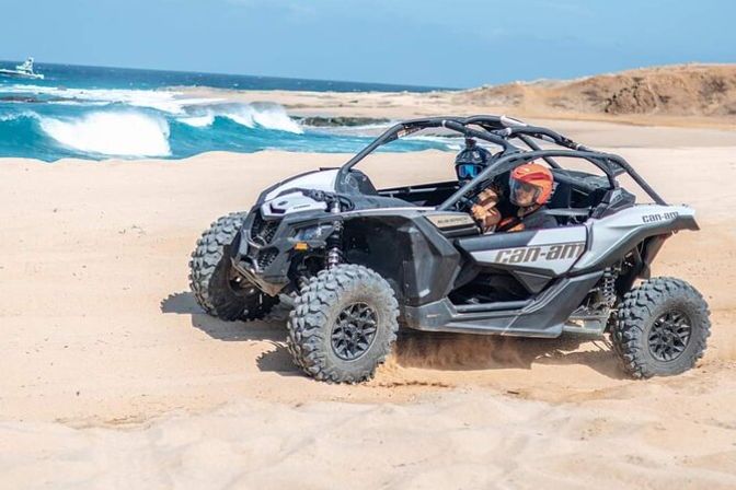Incredible Excursions, Tours & Boat Rentals in Cabo image 118