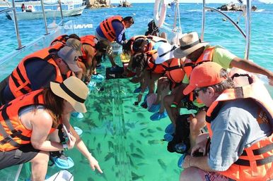 Incredible Excursions, Tours & Boat Rentals in Cabo image 33