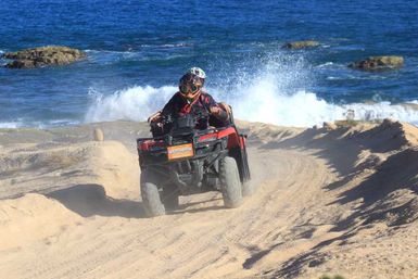 Incredible Excursions, Tours & Boat Rentals in Cabo image 101