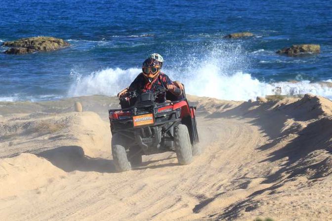 Incredible Excursions, Tours & Boat Rentals in Cabo image 101
