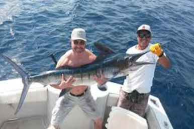 Incredible Excursions, Tours & Boat Rentals in Cabo image 203