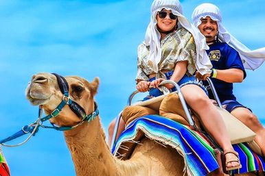 Incredible Excursions, Tours & Boat Rentals in Cabo image 121