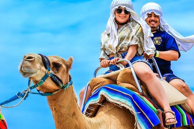 Incredible Excursions, Tours & Boat Rentals in Cabo image 121