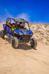 Incredible Excursions, Tours & Boat Rentals in Cabo image 222