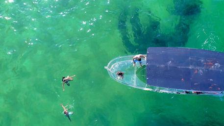 Incredible Excursions, Tours & Boat Rentals in Cabo image 179
