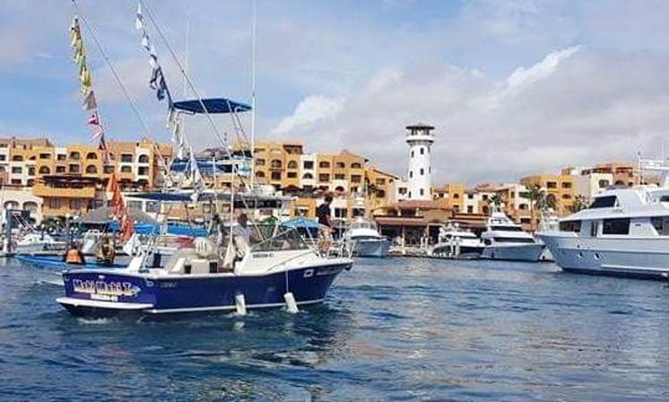 Incredible Excursions, Tours & Boat Rentals in Cabo image 201