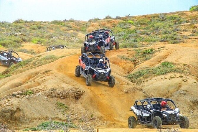 Incredible Excursions, Tours & Boat Rentals in Cabo image 13