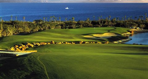 Incredible Excursions, Tours & Boat Rentals in Cabo image 123