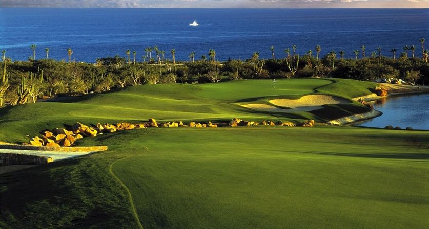Incredible Excursions, Tours & Boat Rentals in Cabo image 123