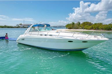 Private BYOB Yacht Party on 40ft Sea Ray Yacht with Captain  image 32