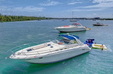 Private BYOB Yacht Party on 40ft Sea Ray Yacht with Captain  image 33