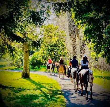 Gallop, Sip & Celebrate: Wine Country Trail Rides & Vineyard Adventures image 6