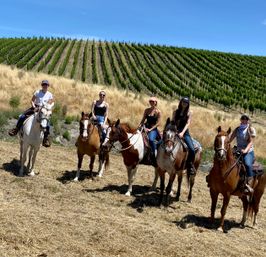 Gallop, Sip & Celebrate: Wine Country Trail Rides & Vineyard Adventures image 1