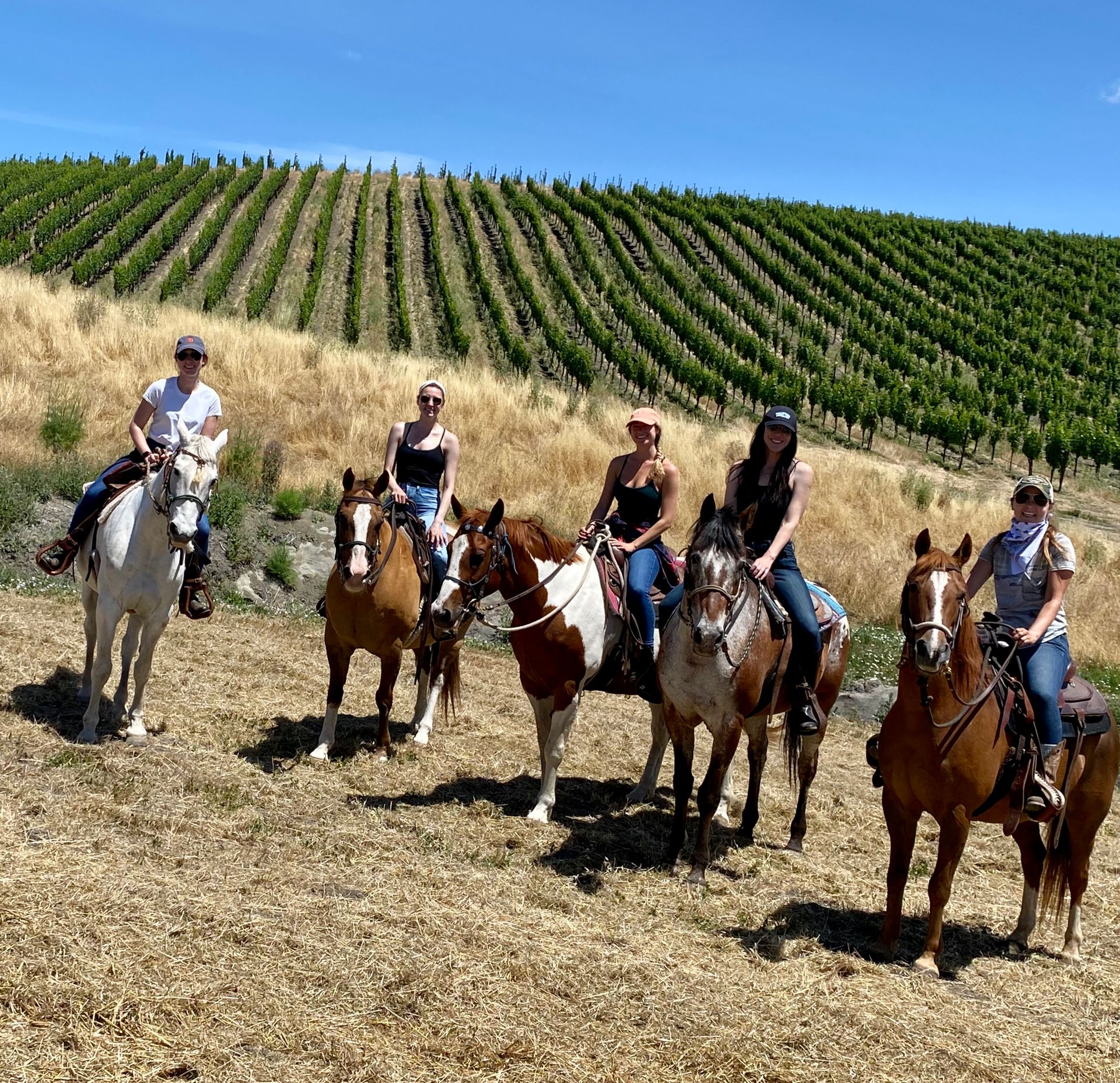Gallop, Sip & Celebrate: Wine Country Trail Rides & Vineyard Adventures image 1