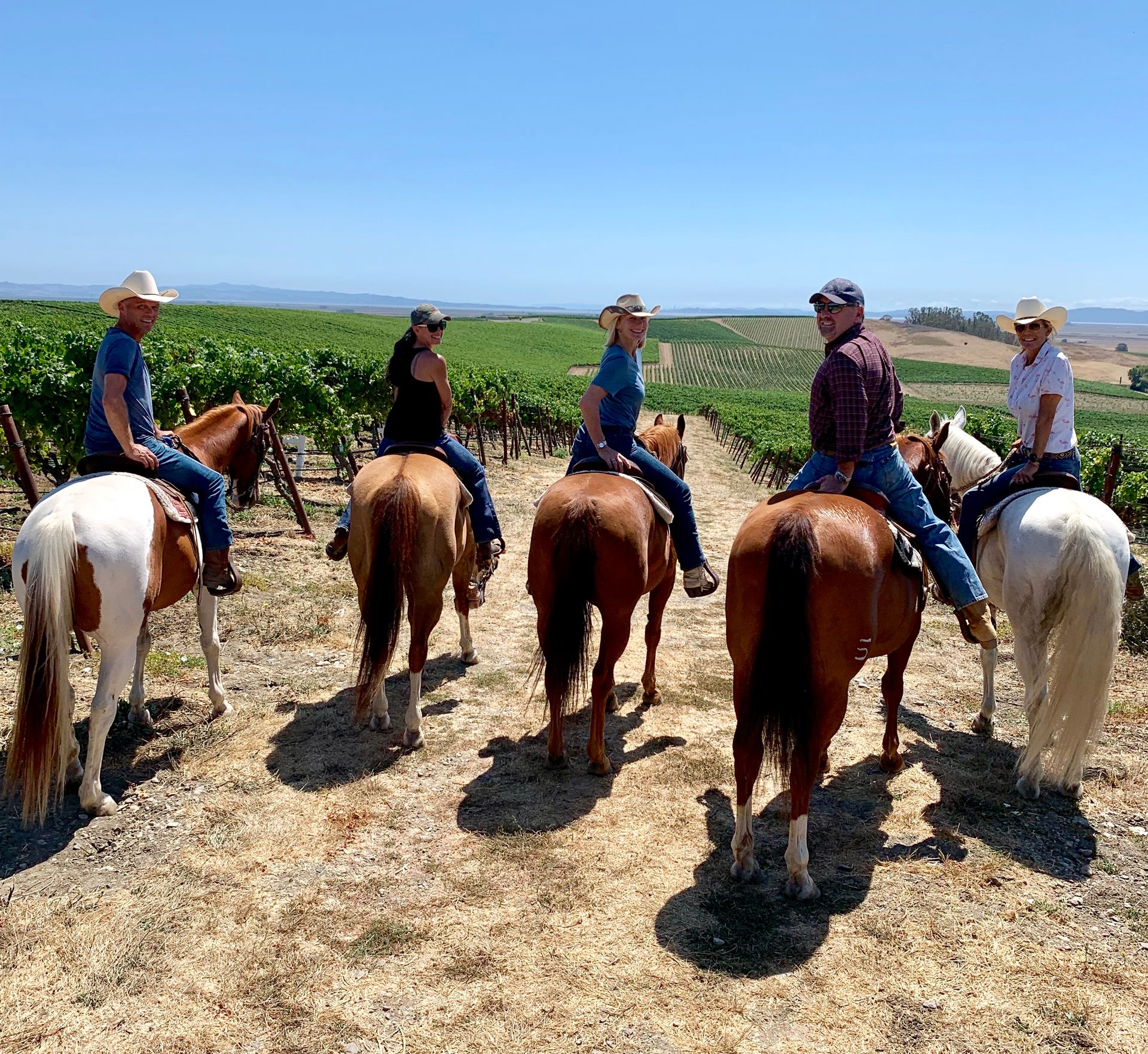 Gallop, Sip & Celebrate: Wine Country Trail Rides & Vineyard Adventures image 3