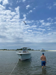 Private Dolphin Cruise in Orange Beach with Wildlife Views & BYOB image 4