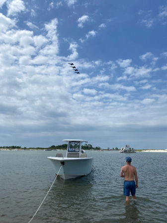 Private Dolphin Cruise in Orange Beach with Wildlife Views & BYOB image 4