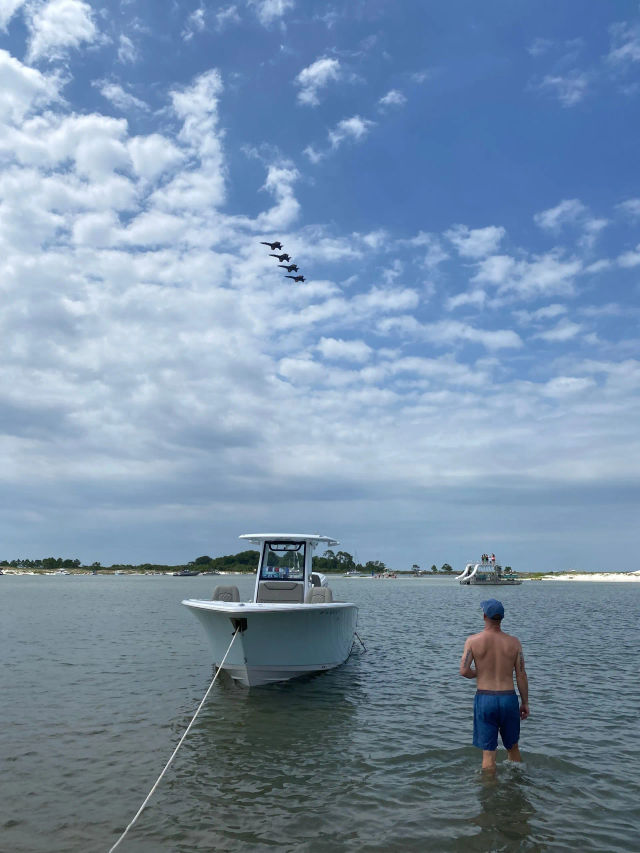 Private Dolphin Cruise in Orange Beach with Wildlife Views & BYOB image 4