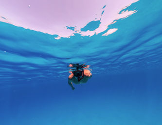 Contoy Island Tour: Visit an Unspoiled Island Paradise Near Cancun image 3