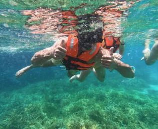 Contoy Island Tour: Visit an Unspoiled Island Paradise Near Cancun image 6