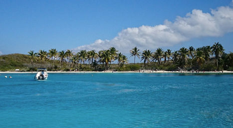 Contoy Island Tour: Visit an Unspoiled Island Paradise Near Cancun image 5