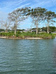 Inlet Brewboat: Morning Coffee Cruise image 15