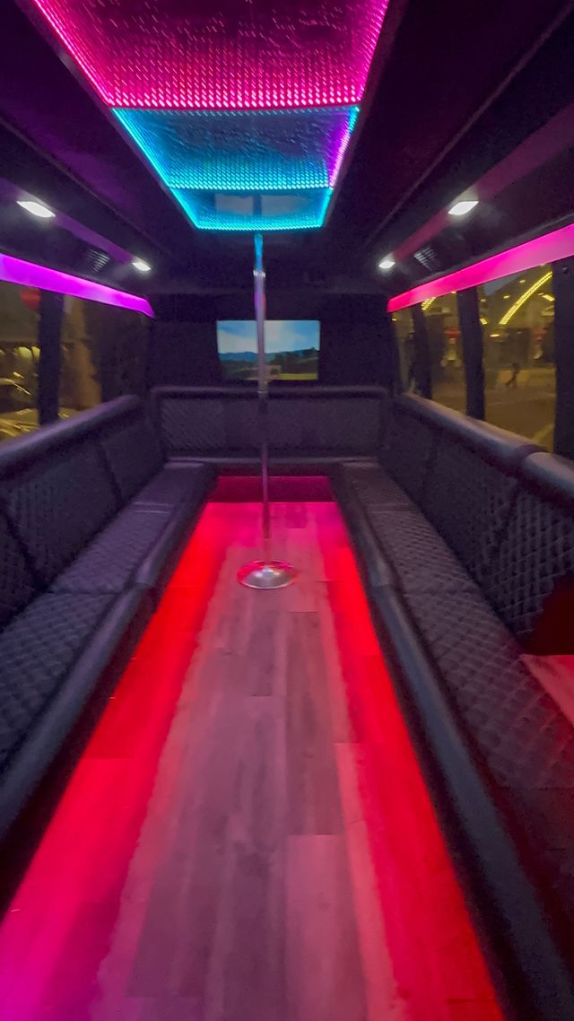 Private Party Bus Charter with BYOB Bar Area & Optional Drink Packages (Up to 24 Passengers) image 5