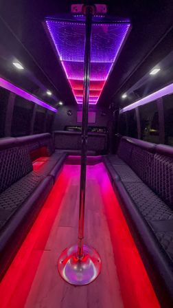 Private Party Bus Charter with BYOB Bar Area & Optional Drink Packages (Up to 24 Passengers) image 2