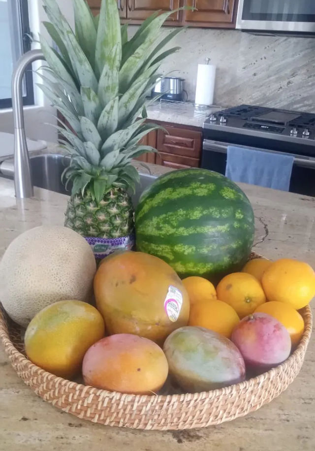 Private Villa Grocery Delivery Service image 4
