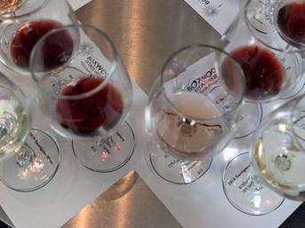 Middleburg Bach Wine Tour: Explore Wine Country in Luxury image 6