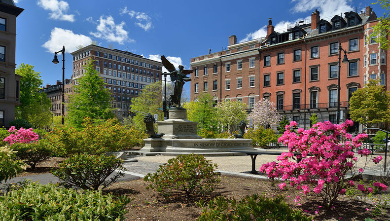 Best of Boston Tour: Harvard, Bunker Hill, Boston Harbor Cruise & More image 6
