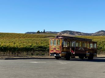Authentic Cable Car Wine Tour in Temecula: As Seen on Real Housewives image