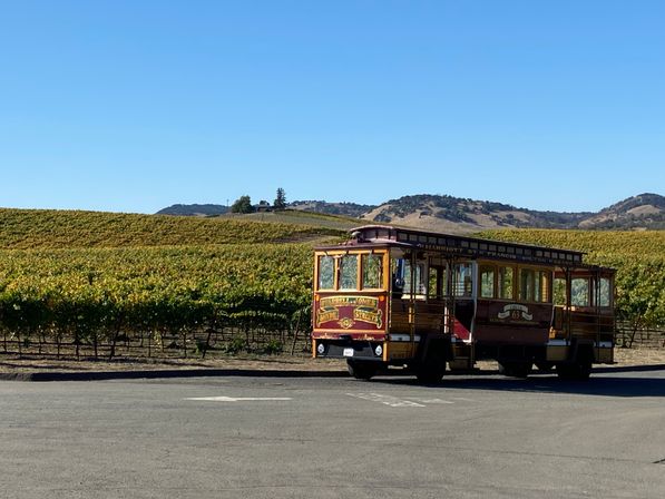 Authentic Cable Car Wine Tour in Temecula: As Seen on Real Housewives image 1