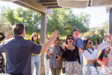 Authentic Cable Car Wine Tour in Temecula: As Seen on Real Housewives image 11