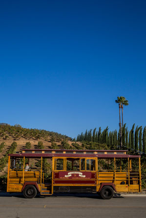 Authentic Cable Car Wine Tour in Temecula: As Seen on Real Housewives image 10