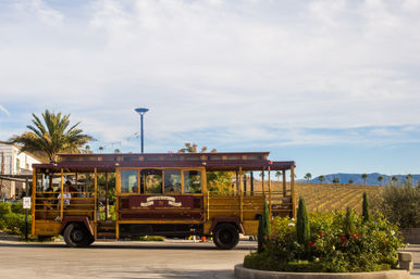 Authentic Cable Car Wine Tour in Temecula: As Seen on Real Housewives image 20