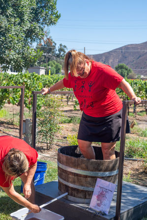 Authentic Cable Car Wine Tour in Temecula: As Seen on Real Housewives image 7
