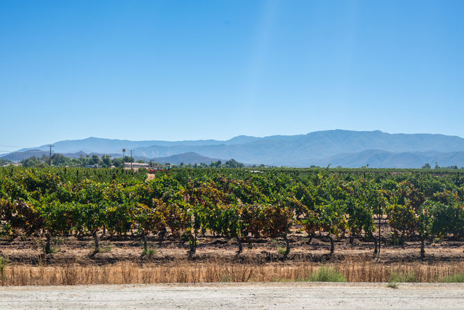 Authentic Cable Car Wine Tour in Temecula: As Seen on Real Housewives image 18