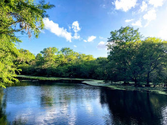 Private Guided Kayak Tour in Tampa Bay image 2