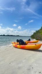 Private Guided Kayak Tour in Tampa Bay image 4