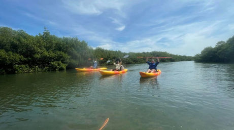 Private Guided Kayak Tour in Tampa Bay image 5