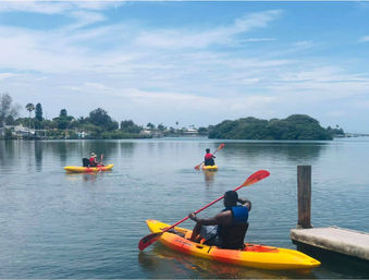 Private Guided Kayak Tour in Tampa Bay image 3