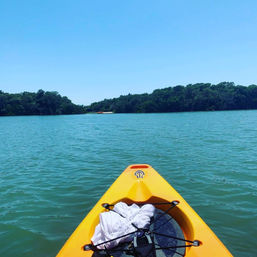 Private Guided Kayak Tour in Tampa Bay image 12