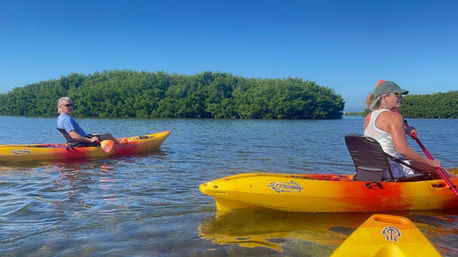 Private Guided Kayak Tour in Tampa Bay image 8