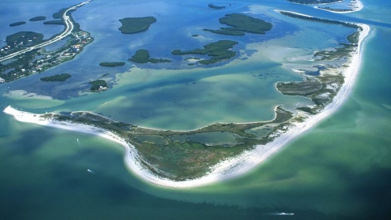 Private Guided Kayak Tour in Tampa Bay image 13