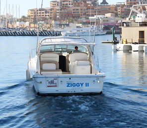 Private 36ft Yacht Cruise: Ultimate Scenic Boat Day in Cabo image 8